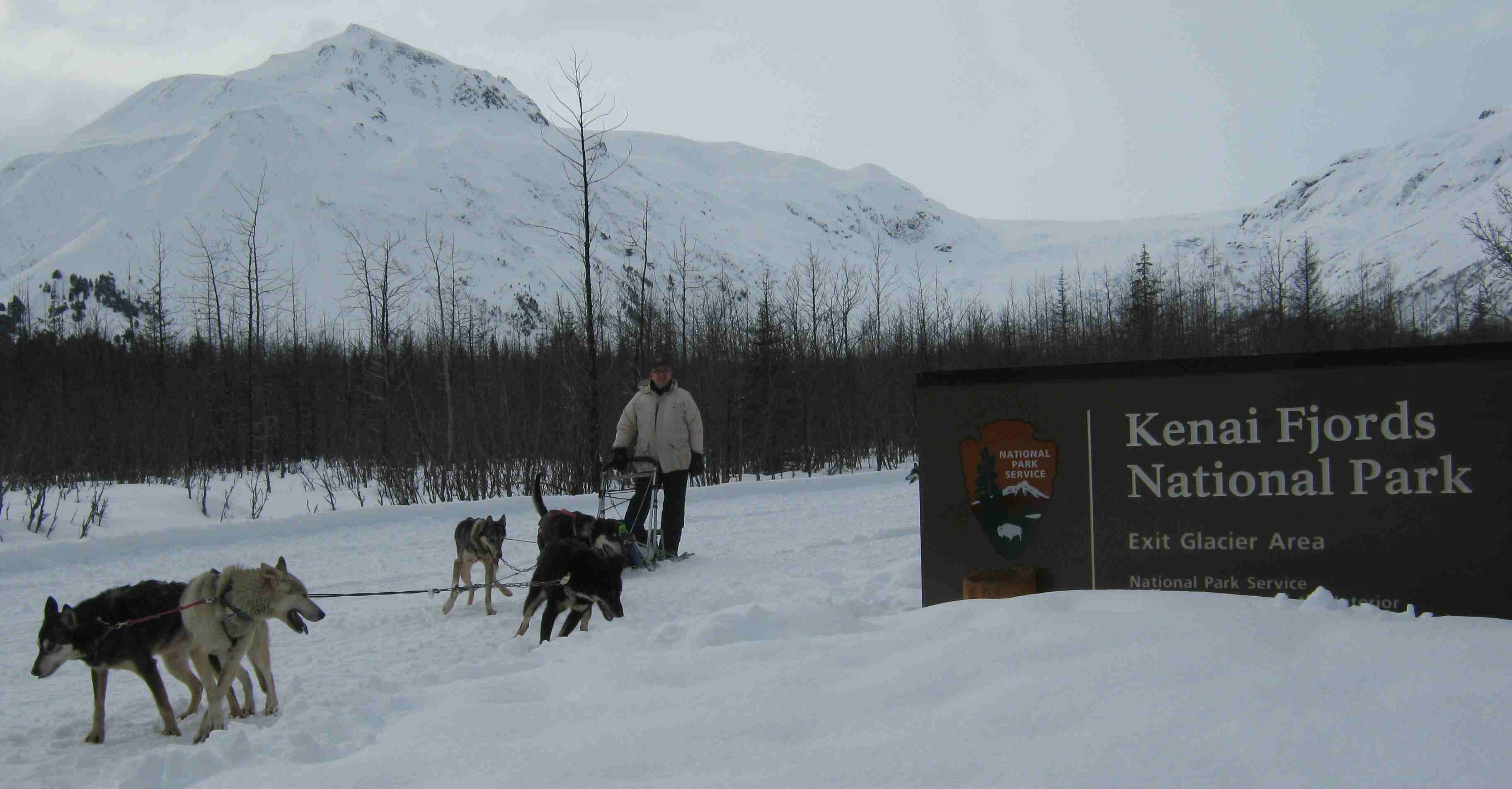 2013-03-03 Dog Mushing Randy.jpg